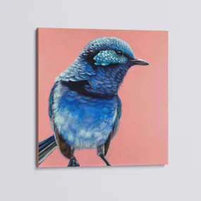 Arlo Splendid Fairy Wren canvas print