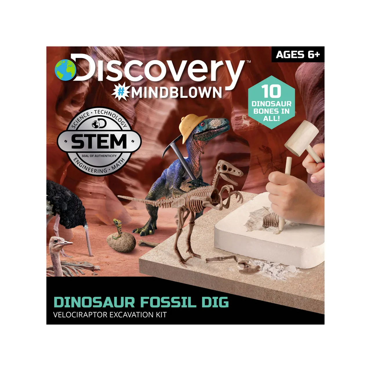 FAO SCHWARZ Discovery Mindblown Dinosaur Excavation Kit Skeleton 3D Puzzle - T-Rex - Multi