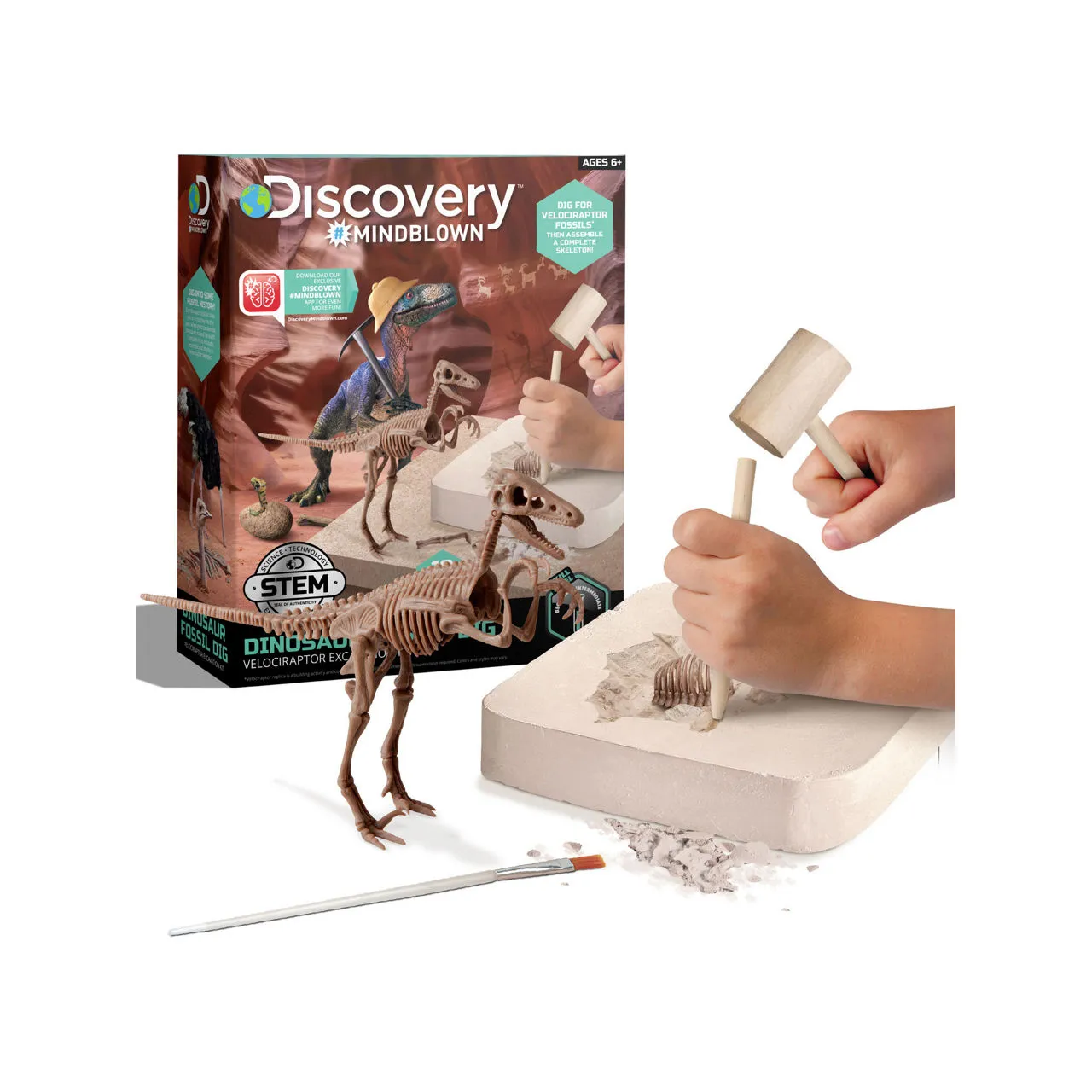 FAO SCHWARZ Discovery Mindblown Dinosaur Excavation Kit Skeleton 3D Puzzle - T-Rex - Multi