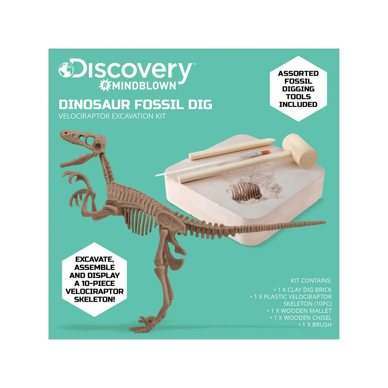 FAO SCHWARZ Discovery Mindblown Dinosaur Excavation Kit Skeleton 3D Puzzle - T-Rex - Multi