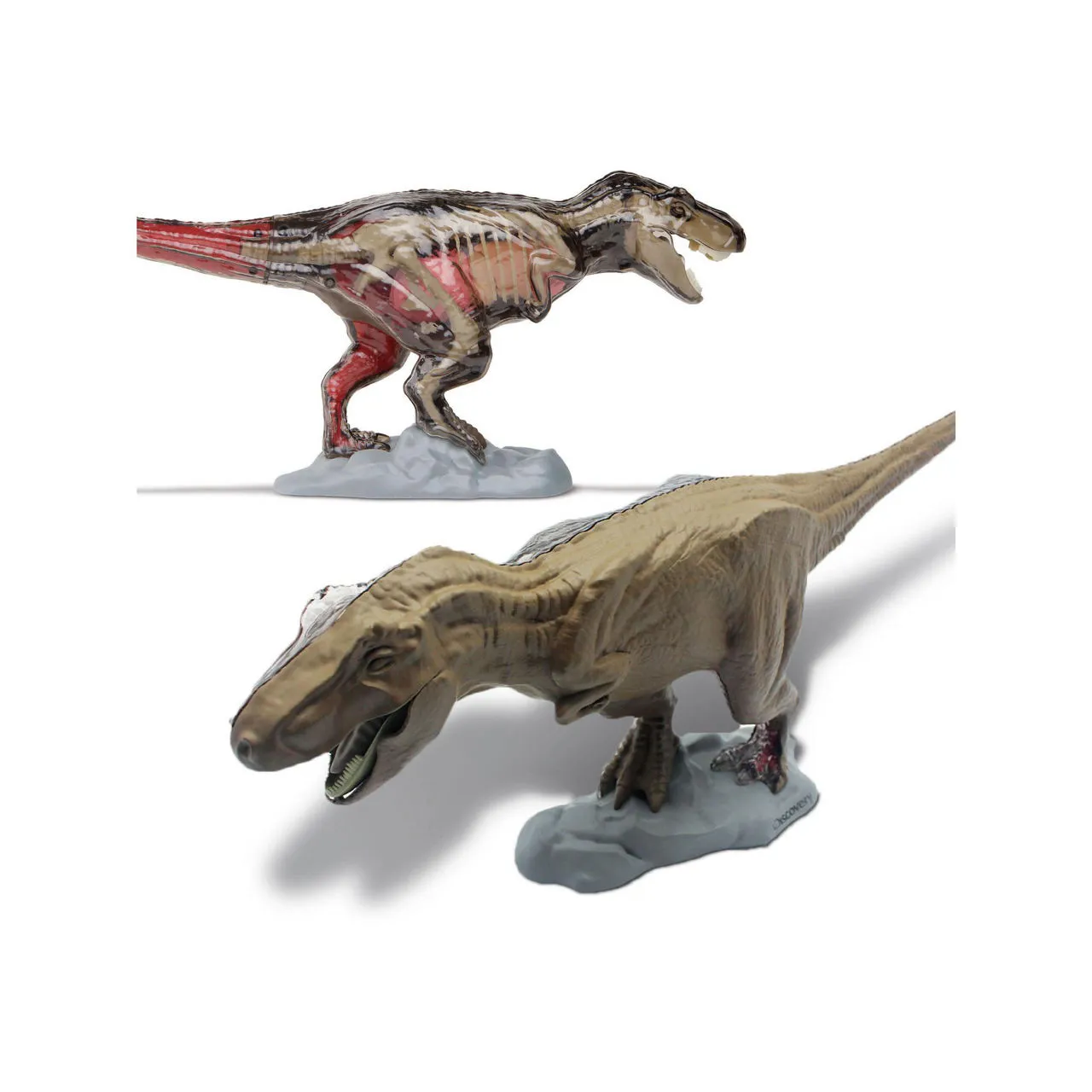 FAO SCHWARZ Discovery Mindblown Discovery 4D T-Rex Anatomy Kit - Multi