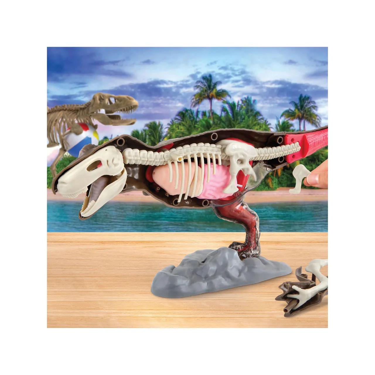 FAO SCHWARZ Discovery Mindblown Discovery 4D T-Rex Anatomy Kit - Multi