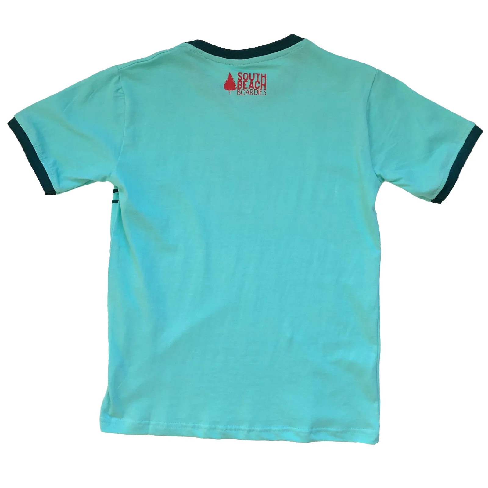 Kids Organic Ringer T-Shirt: Turquoise Dingo