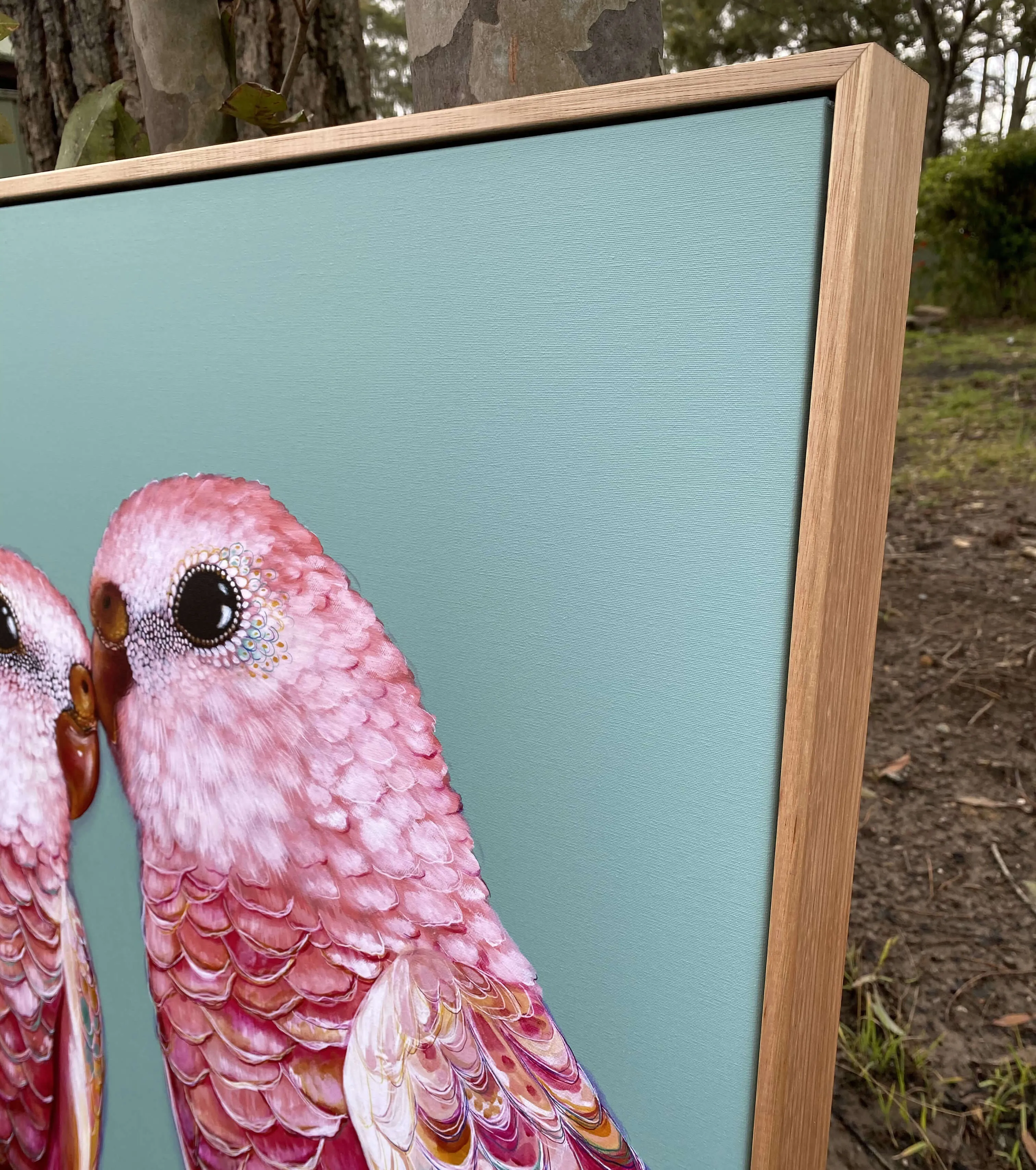 'Orville and Wilbur' Bourke's Parrots canvas print